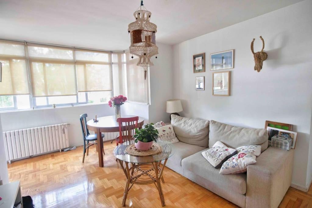 Piso Centrico, Bonito, Acogedor, Aire Acondicionado Y Piscina Enfrente De Casa Madrid Exterior foto