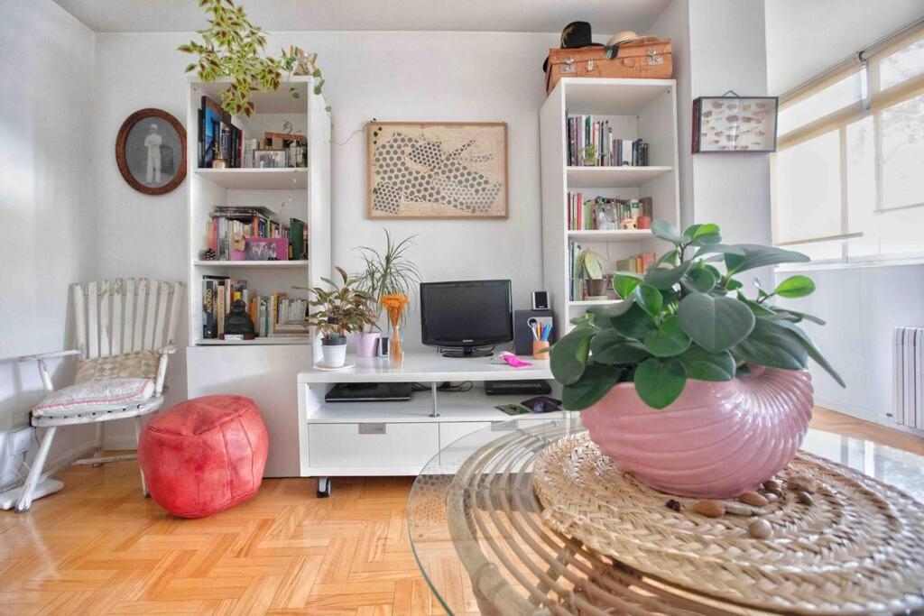 Piso Centrico, Bonito, Acogedor, Aire Acondicionado Y Piscina Enfrente De Casa Madrid Exterior foto