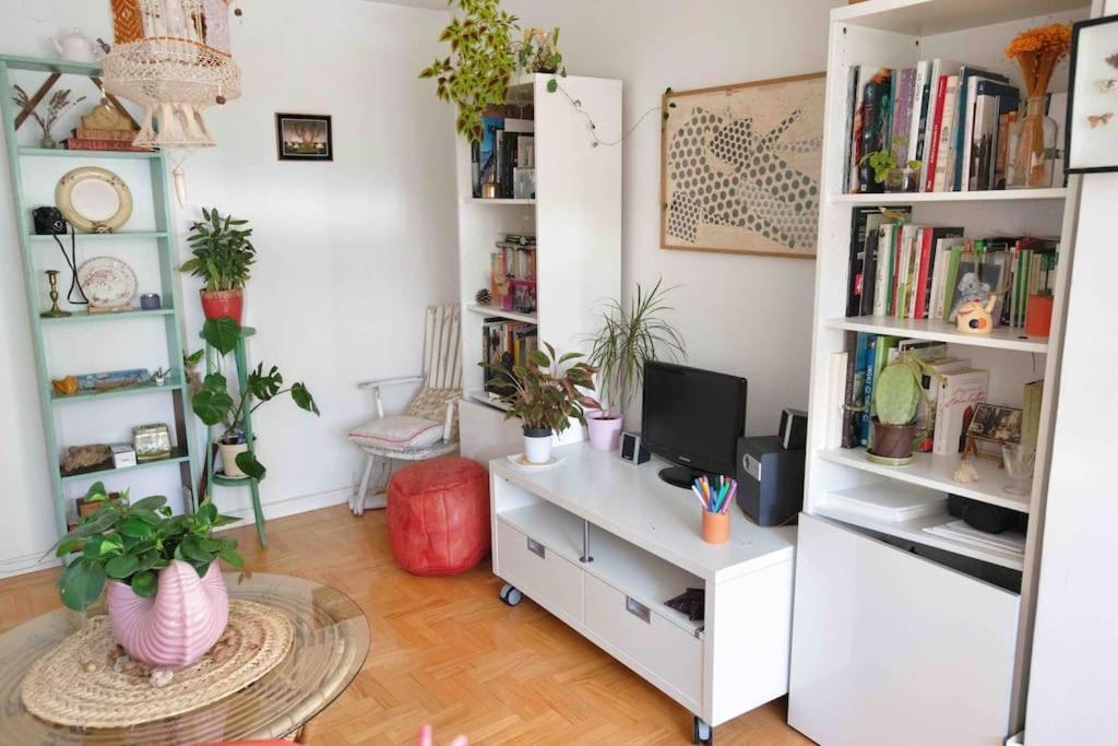 Piso Centrico, Bonito, Acogedor, Aire Acondicionado Y Piscina Enfrente De Casa Madrid Exterior foto